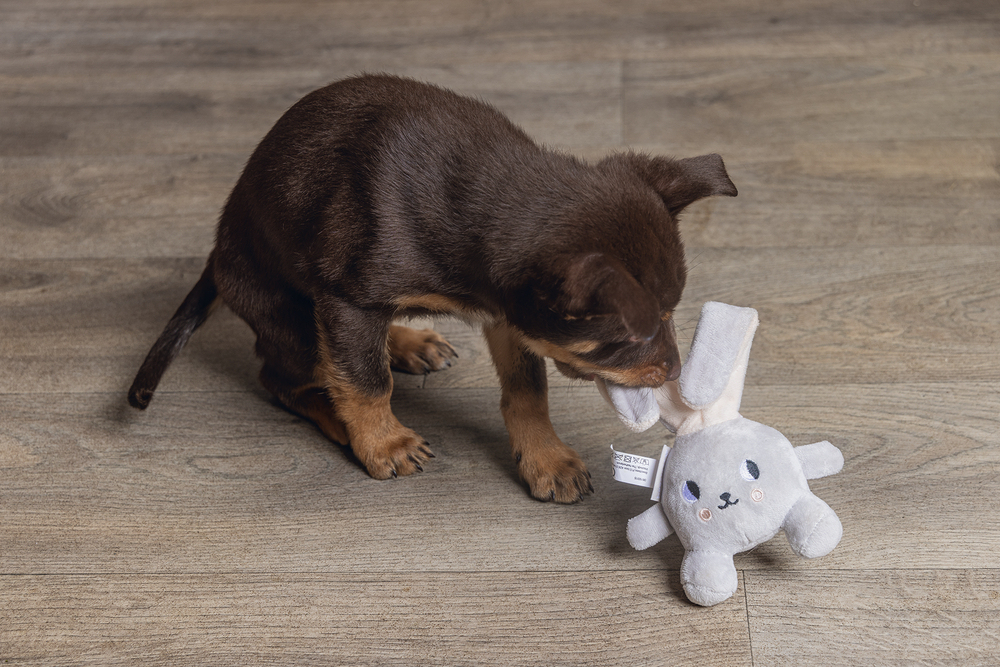 Beeztees Yavru Köpek Oyuncağı, Tavşan, Peluş, Gri, 15x9x4cm - 2