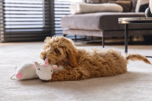 Beeztees Yavru Köpek Oyuncağı, Unicorn, Isıtıcılı, Peluş, Beyaz, 34x33x12cm - 4