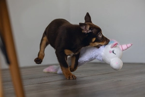 Beeztees Yavru Köpek Oyuncağı, Unicorn, Peluş, Beyaz, 74x14x15cm - 2