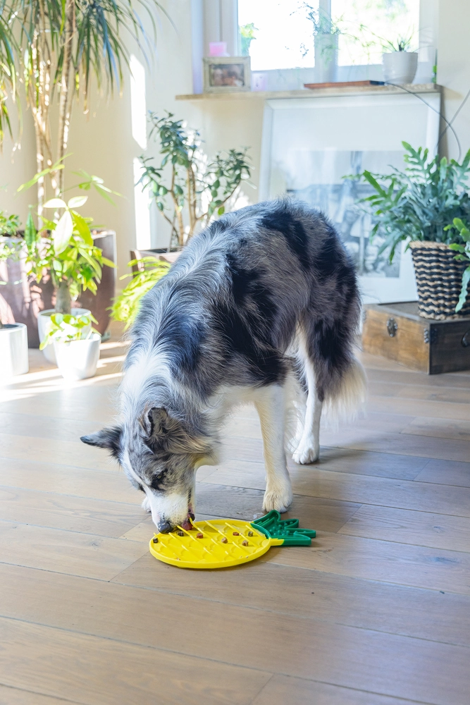 Beeztees Yavru Köpek Yaş Mama Yeme Oyuncağı, Ananas Şeklinde,Silikon, Sarı, 20x20cm - 4