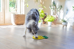 Beeztees Yavru Köpek Yaş Mama Yeme Oyuncağı, Ananas Şeklinde,Silikon, Sarı, 20x20cm - 5