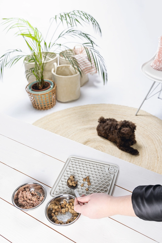 Beeztees Yavru Köpek Yaş Mama Yeme Oyuncağı, Kare, Silikon, Gri, 20x20cm - 4