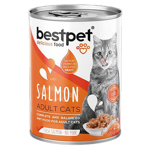 BestPet Somonlu Yetişkin Kedi Yaş Maması 400 g - 1