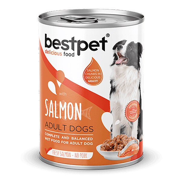 BestPet Somonlu Jöleli Yetişkin Köpek Yaş Maması 400 g