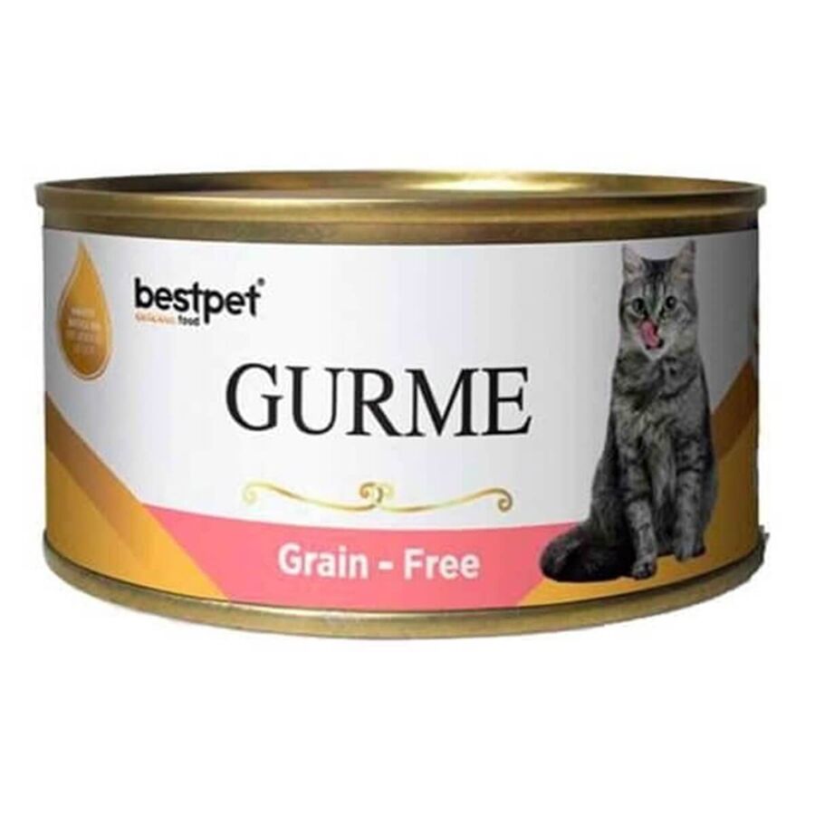 BestPet Gurme Tahılsız Jelly Sterilised Somonlu Kedi Yaş Maması 100 Gr - 1