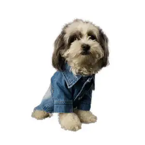 Betty Kedi & Köpek Denim Ceket