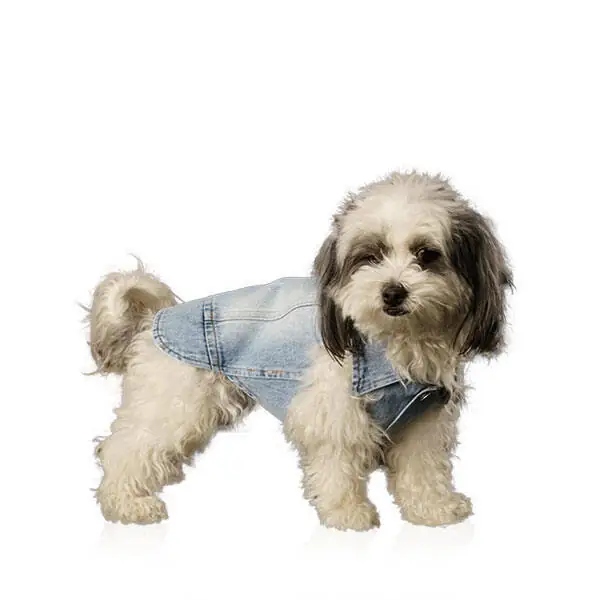 Betty Kedi & Köpek Denim Yelek - 1