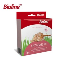 Bioline Kedi Çimi Seti