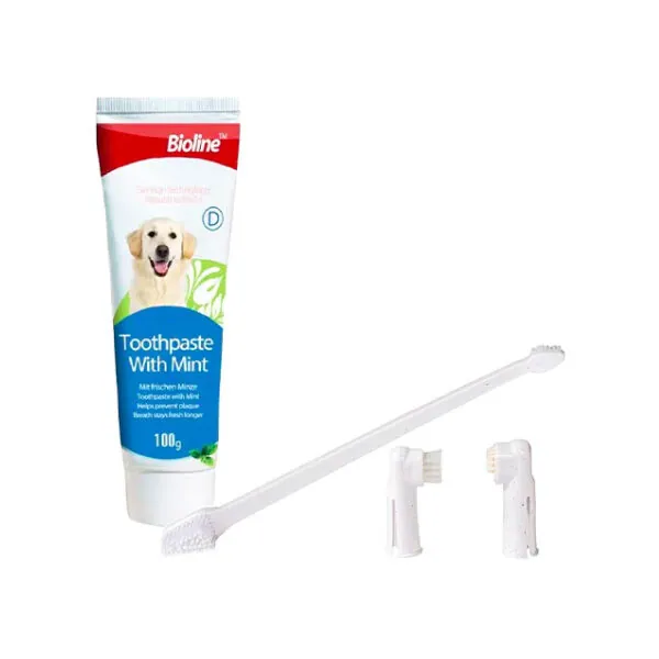 Bioline Nane Aromalı Köpek Ağız Bakım Seti 100 GR - 2