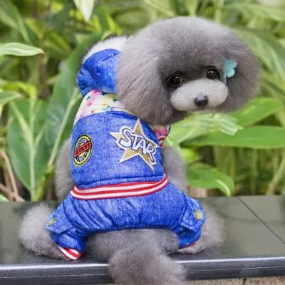 Bobo Köpekler İçin Star Yağmurluk - 1