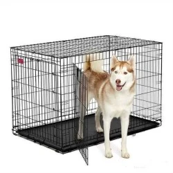 Bobo Tek Kapılı Kafes - 3