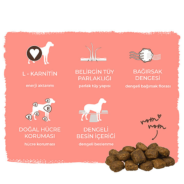 Bosch Active Köpek Maması 15 KG - 7