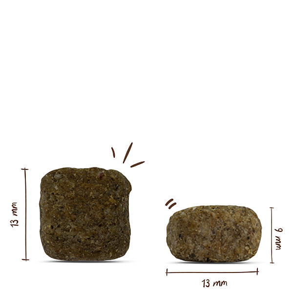 Bosch Active Köpek Maması 15 KG - 2
