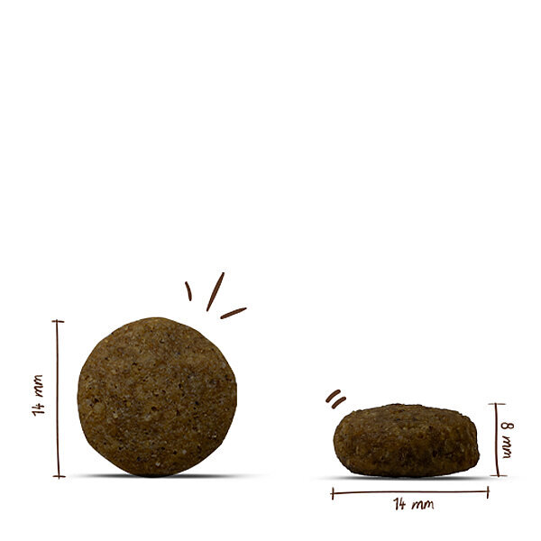 Bosch Adult Special Light Özel Diyet Formüllü Köpek Maması 12.5 kg - 3