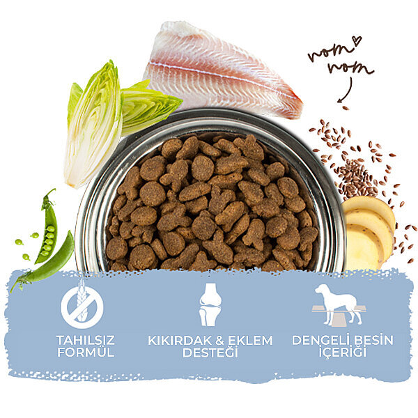 Bosch Balıklı Köpek Maması 3 KG - 5