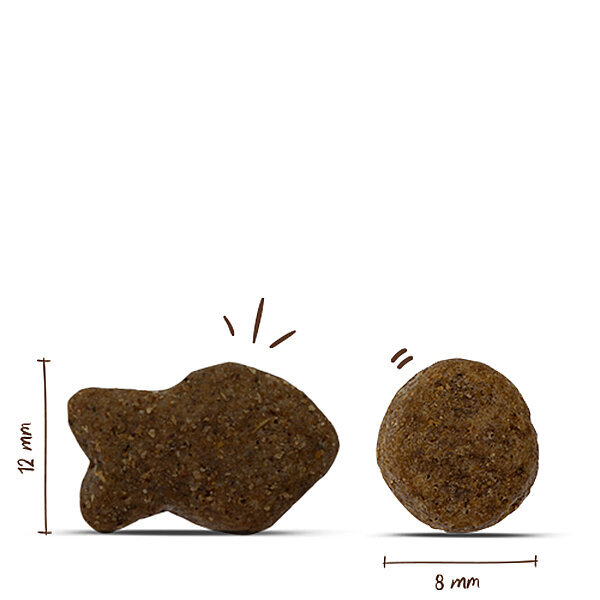 Bosch Balıklı Köpek Maması 3 KG - 2