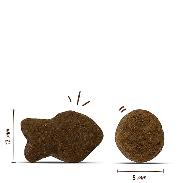 Bosch Balıklı Köpek Maması 3 KG - 2