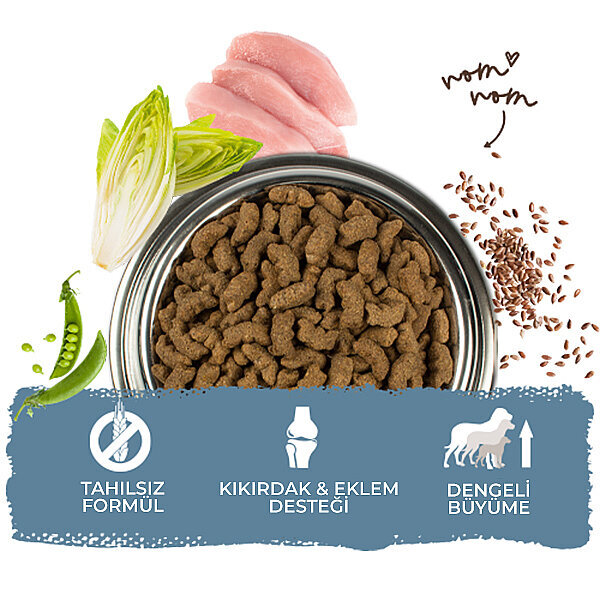 Bosch Büyük Irk Yavru Köpek Maması 15 KG - 5