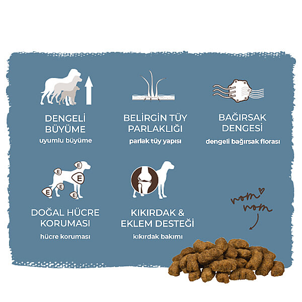 Bosch Büyük Irk Yavru Köpek Maması 15 KG - 8