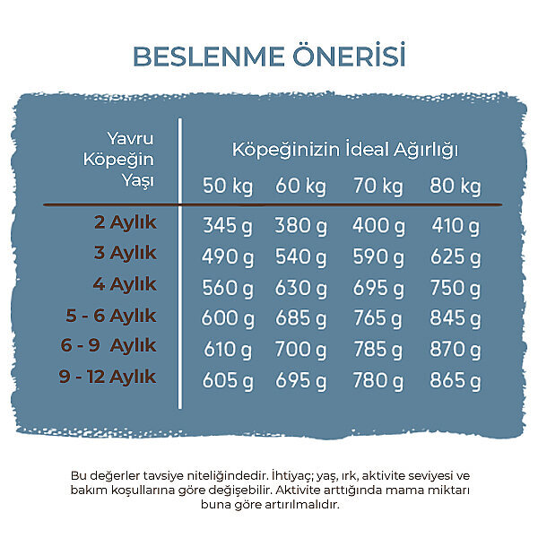 Bosch Büyük Irk Yavru Köpek Maması 15 KG - 6