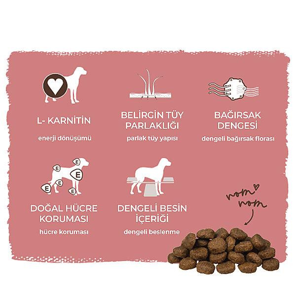 Bosch Energy Extra Kümes Hayvanlı Yetişkin Köpek Maması 15 Kg - 8