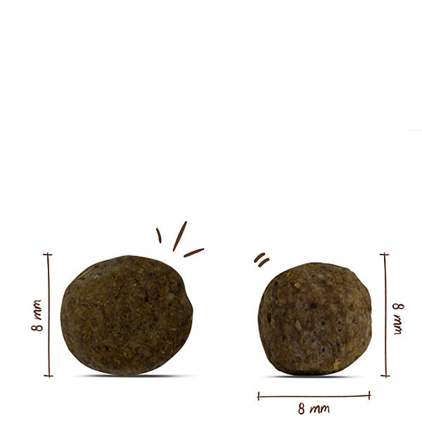 Bosch Küçük Irk Yaşlı Köpek Maması 2.5 KG - 2