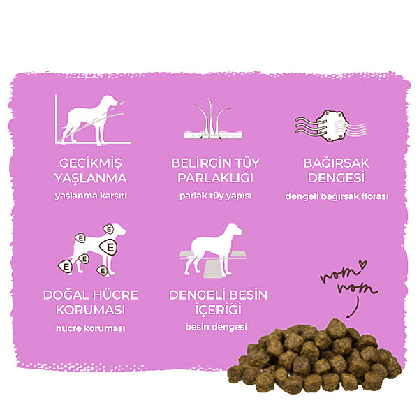 Bosch Küçük Irk Yaşlı Köpek Maması 2.5 KG - 7