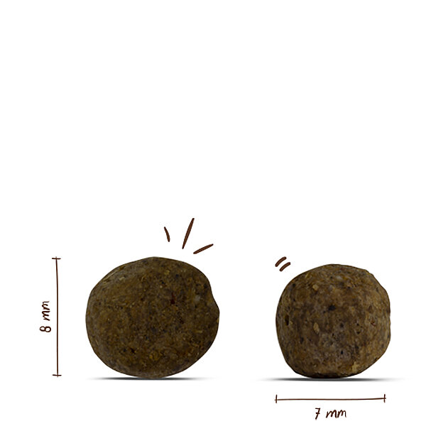 Bosch Küçük Irk Yavru Köpek Maması 3 KG - 2