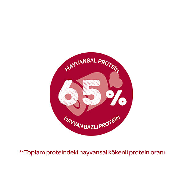 Bosch Glutensiz Kuzu Etli Küçük Irk Köpek Maması 15 KG - 3