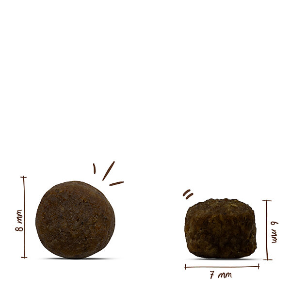 Bosch Glutensiz Kuzu Etli Küçük Irk Köpek Maması 15 KG - 2