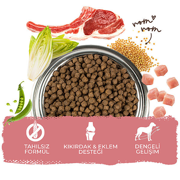 Bosch Glutensiz Kuzu Etli Küçük Irk Köpek Maması 15 KG - 5