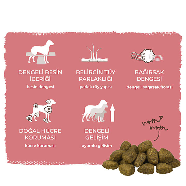 Bosch Glutensiz Kuzu Etli Küçük Irk Köpek Maması 15 KG - 7