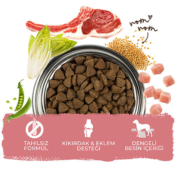 Bosch Glutensiz Kuzu Etli Köpek Maması 15 KG - 5