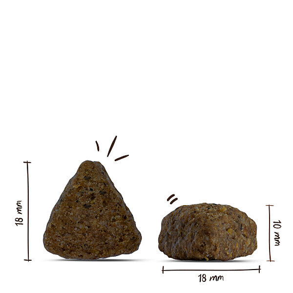 Bosch Glutensiz Kuzu Etli Köpek Maması 15 KG - 2