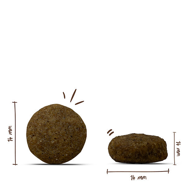 Bosch Kuzu Etli ve Pirinçli Yavru Köpek Maması 15 kg - 2