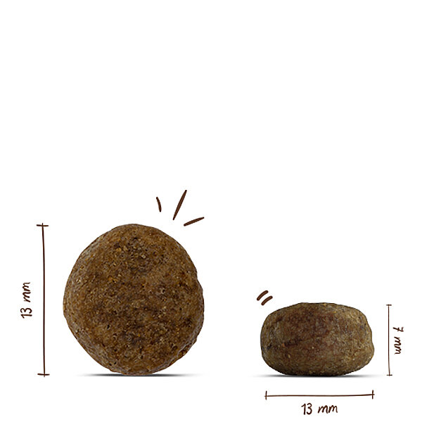 Bosch Light Köpek Maması 2.5Kg - 3
