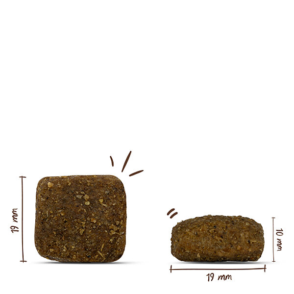 Bosch Maxi Adult Kümes Hayvanlı Büyük Irk Yetişkin Köpek Maması 15 kg - 3
