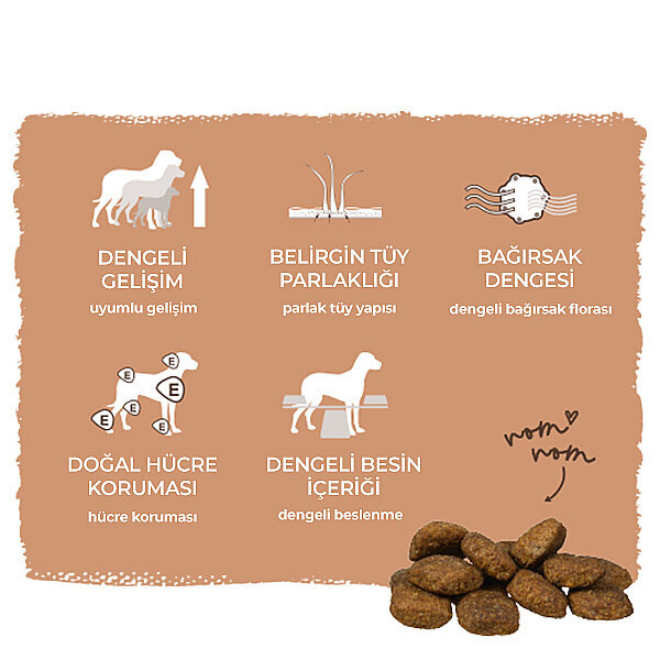 Bosch Maxi Adult Kümes Hayvanlı Büyük Irk Yetişkin Köpek Maması 15 kg - 8