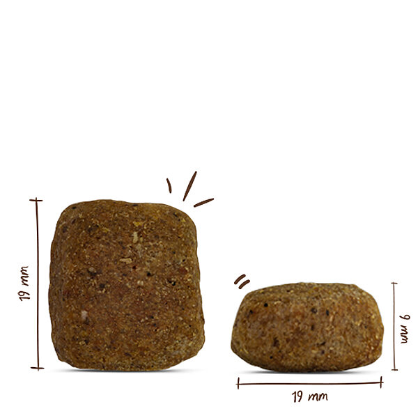 Bosch Maxi Senior Büyük Irk Tavuklu ve Pirinçli Köpek Maması 12,5 Kg - 3