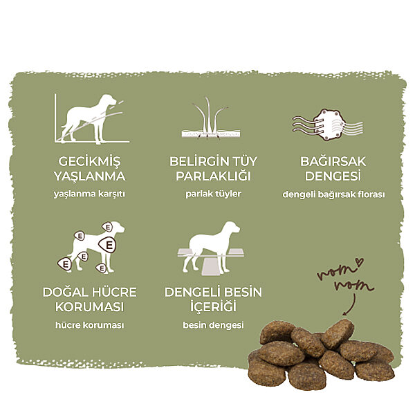 Bosch Maxi Senior Büyük Irk Tavuklu ve Pirinçli Köpek Maması 12,5 Kg - 8