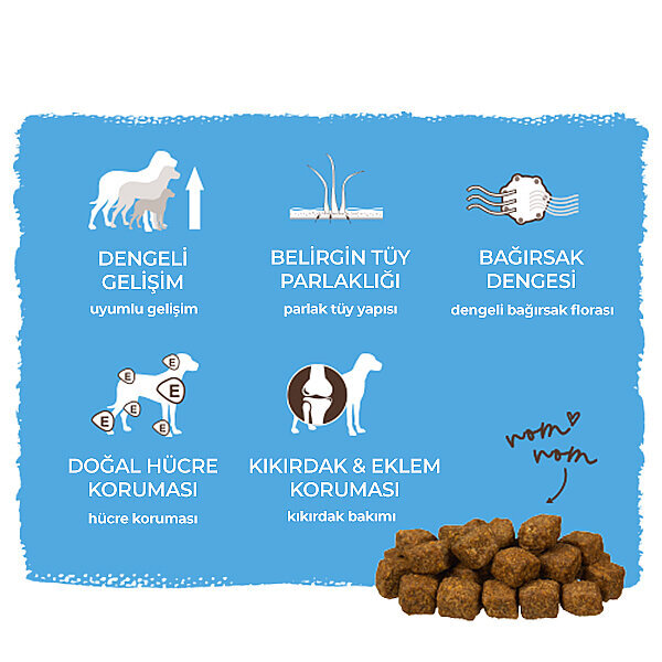 Bosch Medium Junior Yavru Köpekler İçin Kuru Mama 15 kg - 8