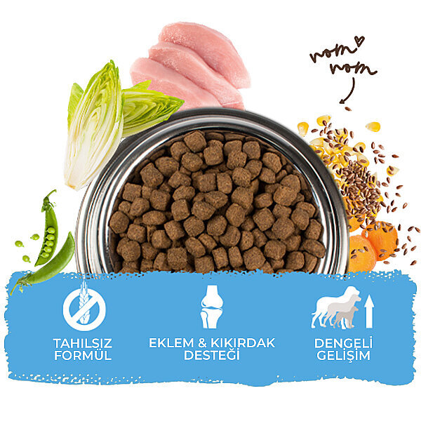 Bosch Medium Junior Yavru Köpekler İçin Kuru Mama 15 kg - 6