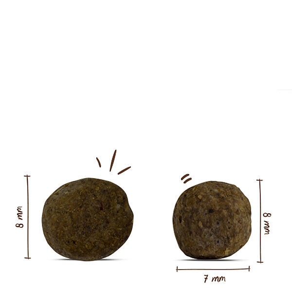Bosch Mini Light Köpek Maması 2.5 KG - 2