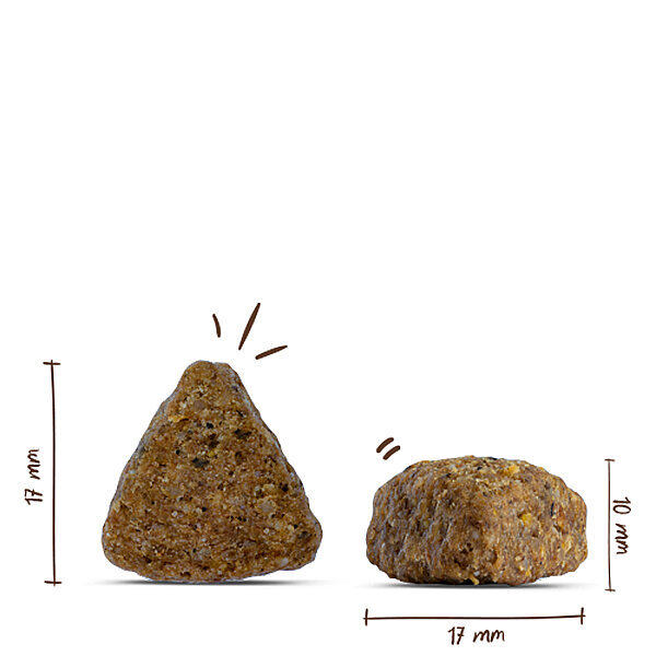 Bosch Ördek Ve Pirinçli Yetişkin Köpek Maması 15 kg - 2