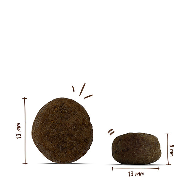 Bosch Sensitive Kuzu Etli ve Pirinçli Köpek Maması 15 kg - 2