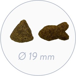 Bosch Glutensiz Somon Balıklı ve Patatesli Köpek Maması 15 KG - 3