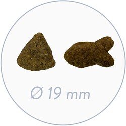 Bosch Glutensiz Somon Balıklı ve Patatesli Köpek Maması 15 KG - 2