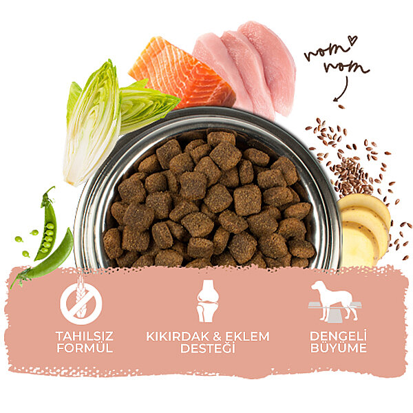 Bosch Glutensiz Somon Balıklı ve Patatesli Köpek Maması 3 KG - 5
