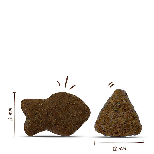 Bosch Glutensiz Somon Balıklı ve Patatesli Köpek Maması 3 KG - 2