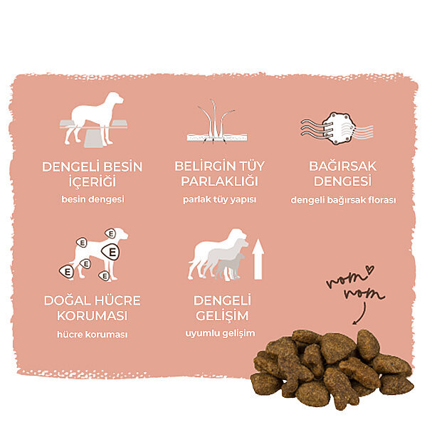 Bosch Glutensiz Somon Balıklı ve Patatesli Köpek Maması 3 KG - 7